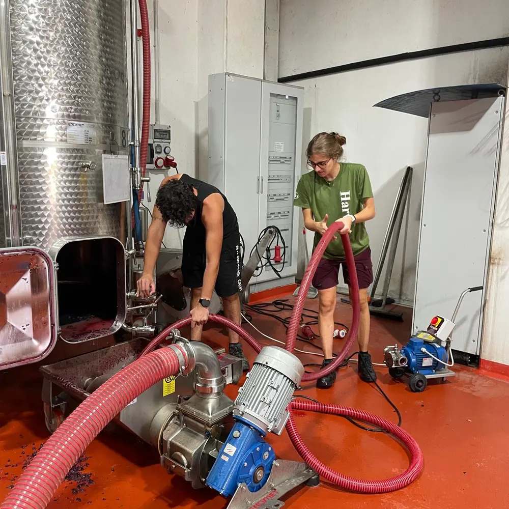 74203c13-6198-4f33-be0e-e188c83bca57