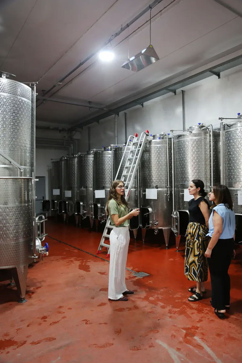 C27A8706 (2025-07-21T12_33_21.232)